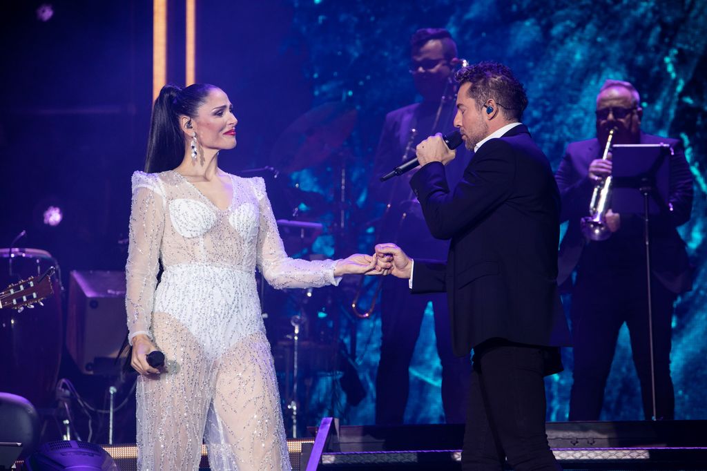 Rosa López y David Bisbal cantan juntos en el concierto de 20 años de carrera del artista, celebrado en su Almería natal en 2022
