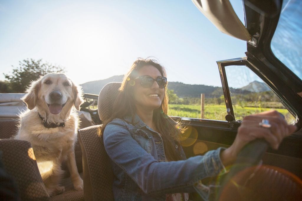 Una chica junto a su perro en el coche