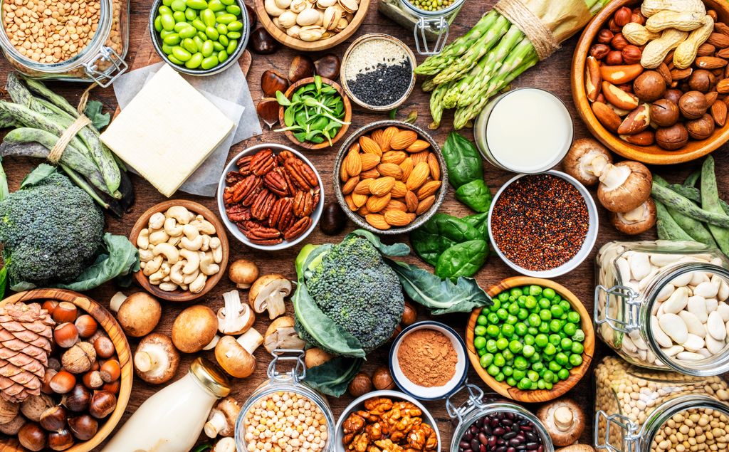 Alimentos de origen vegetal ricos en proteína