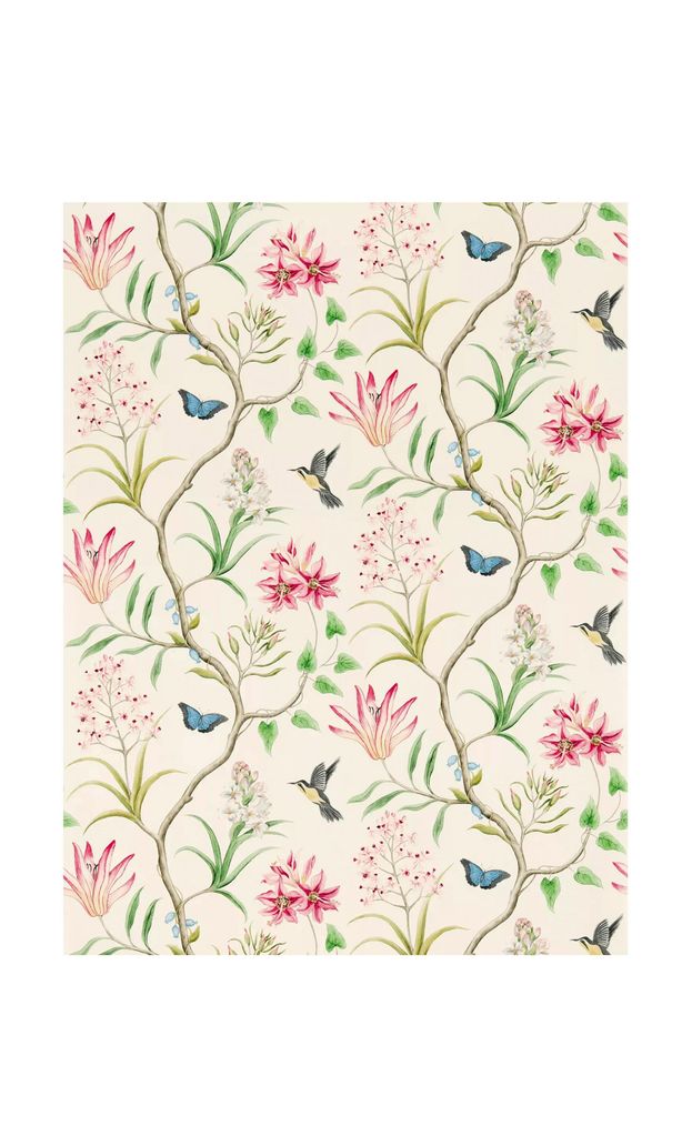 Papel pintado, de John Lewis & Partners