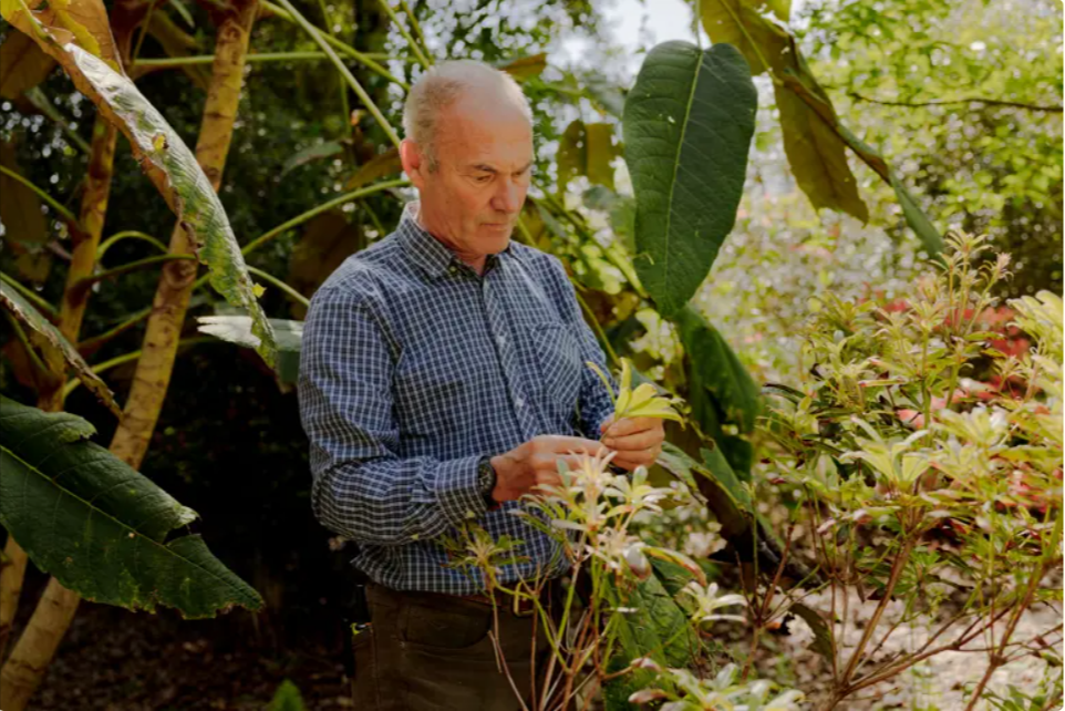 El Real Jardín Botánico de Escocia ha dedicado un sentido tributo a Richard Baines