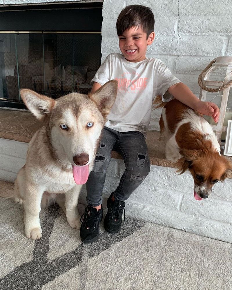 Alejandra Espinoza enuentra a su perro gracias a una fan