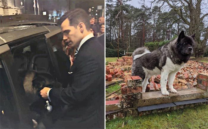 Henry Cavill y su mascota