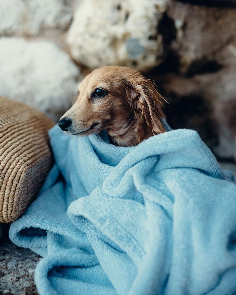 Leo Leclerc ha acompañado a Charles y Alexandra en sus vacaciones
