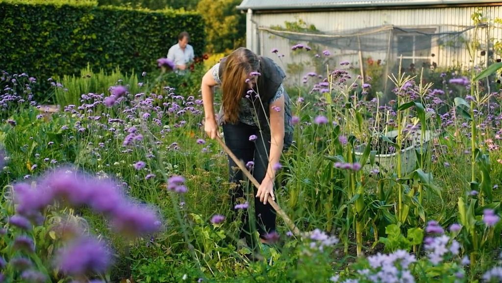 Sue trabajando en su jardín