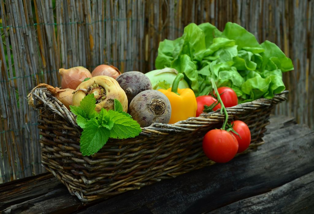 Verduras de verano