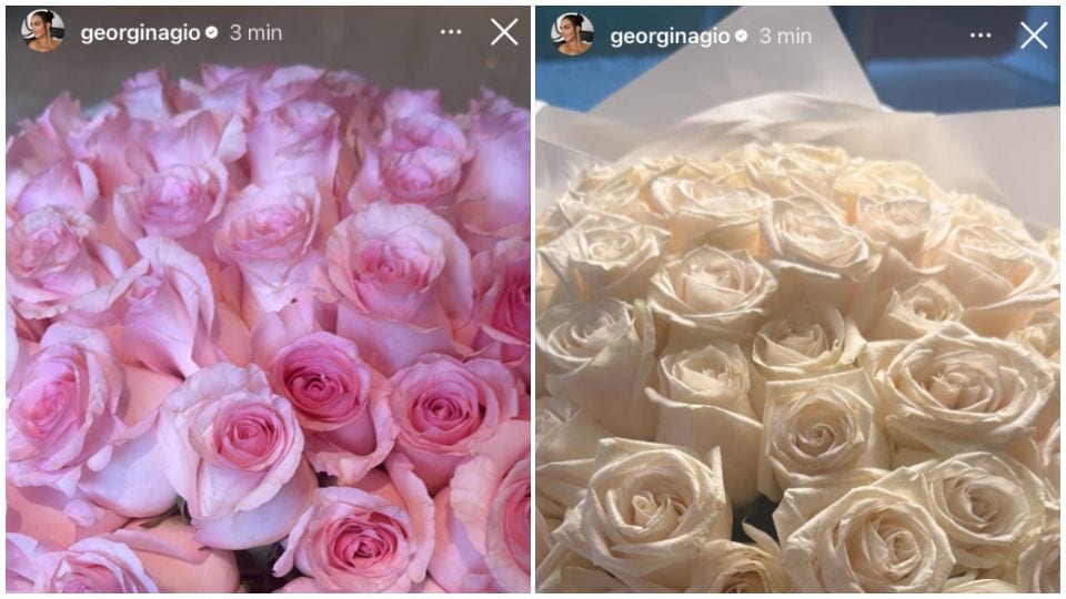 Las rosas blancas y rosas podrían ser parte de la decoración del lugar donde se comprometieron.