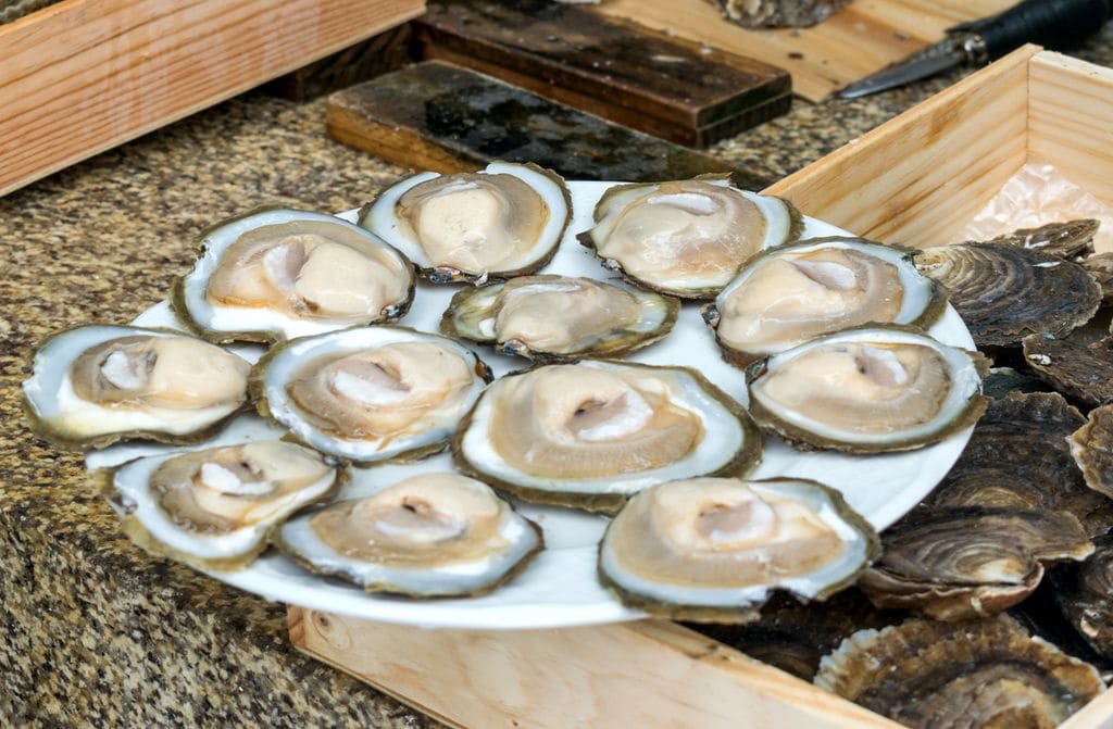 Ostras gallegas