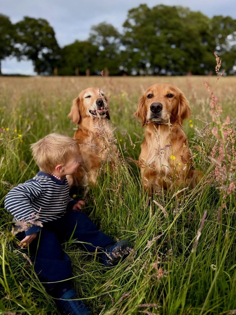 Íñigo disfruta de un día al aire libre rodeado de los perros de la familia, una compañía prácticamente constante desde que nació