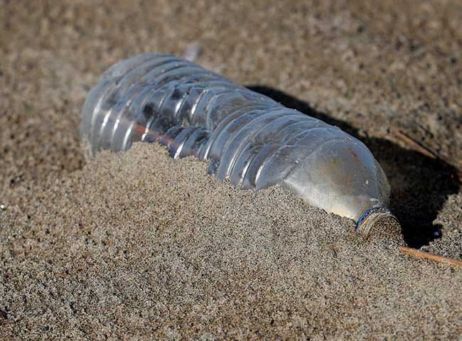 Botella de arena en el agua