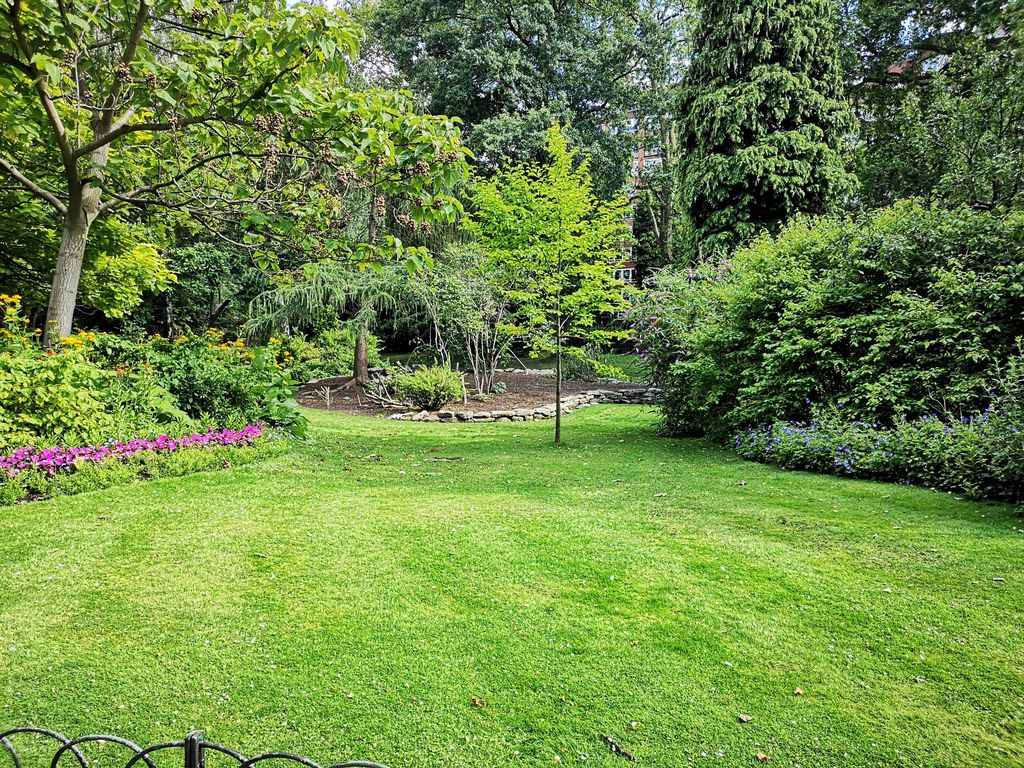 Jardín con césped