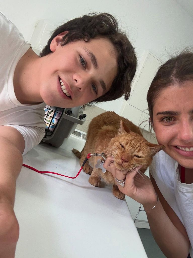 Michelle Renaud reveló que Axel rescató un gato.