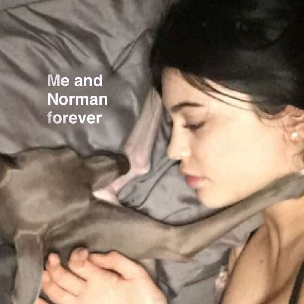 Amigos, familiares y fans lamentaron la pérdida de Kylie