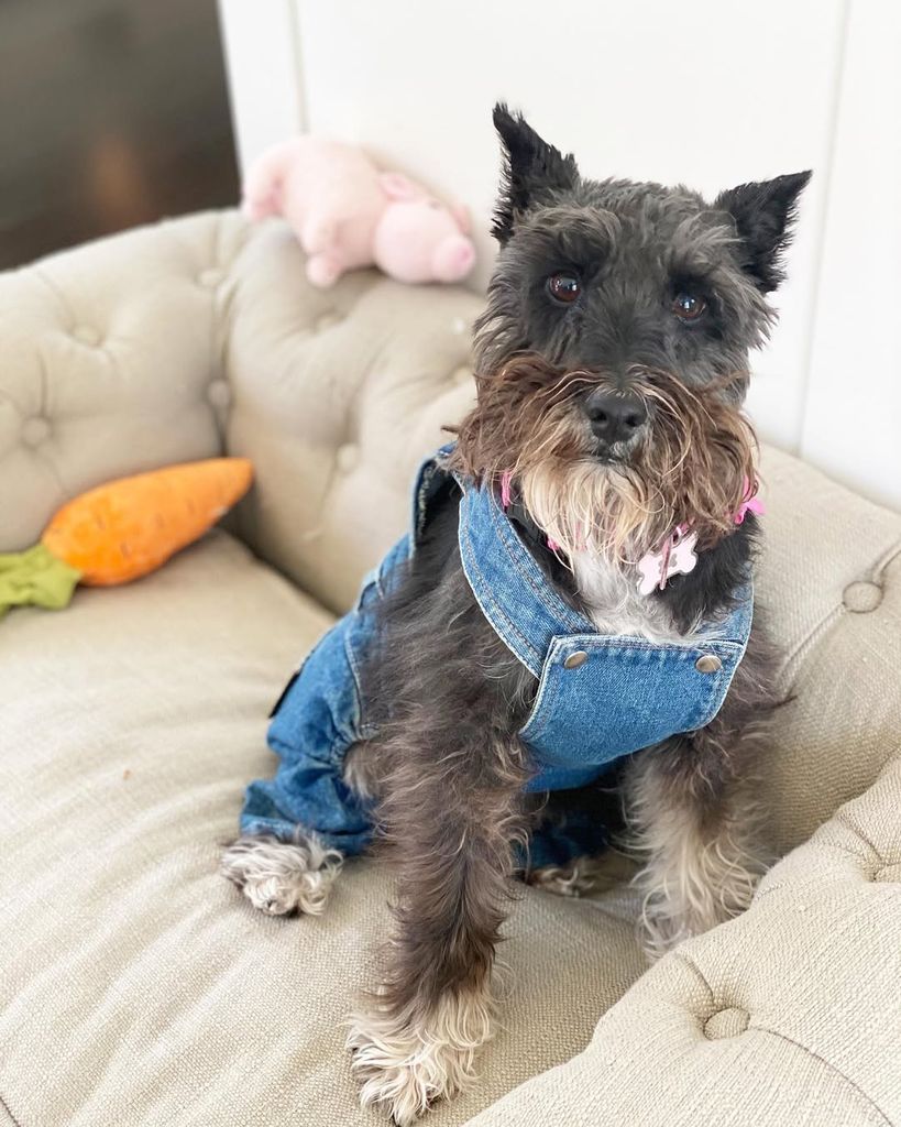 Coco estuvo en la familia de Dayanara por 10 años.