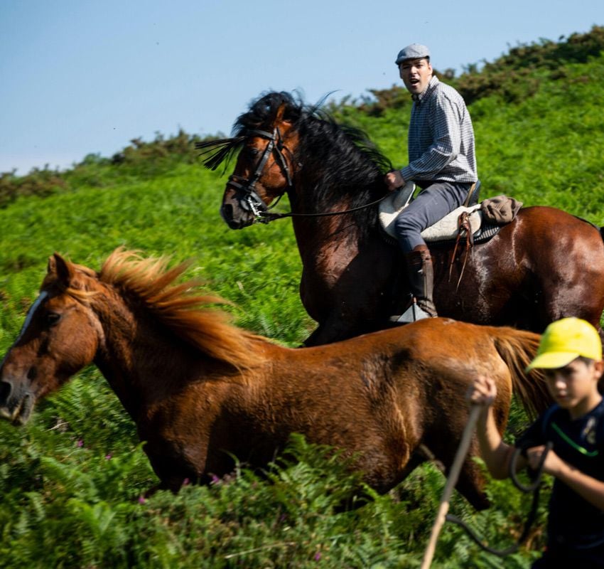 Rapa das Bestas, Sabucedo, Pontevedra