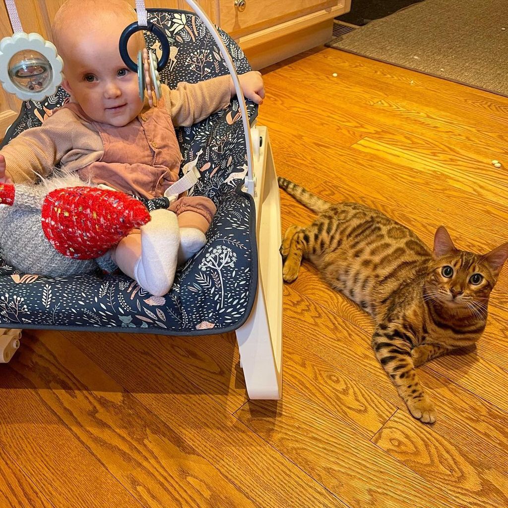 Gato de Hilaria Baldwin