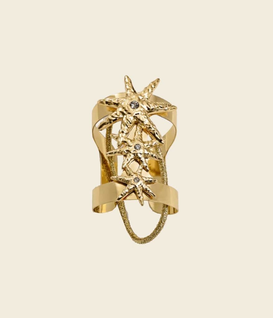 Coletero dorado con estrellas de Dos Primeras