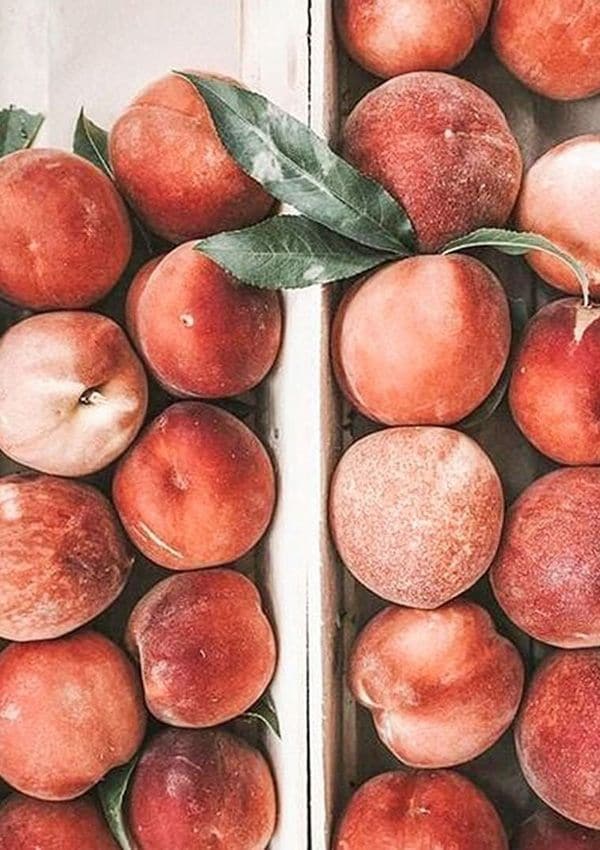 melocoton-fruta