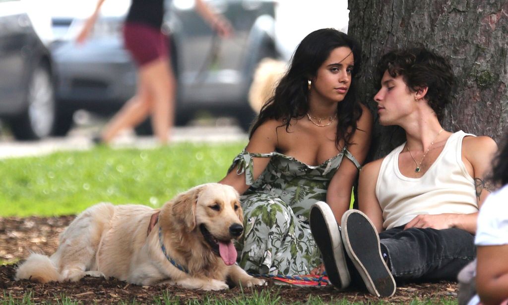 Camila Cabello and Shawn Mendes