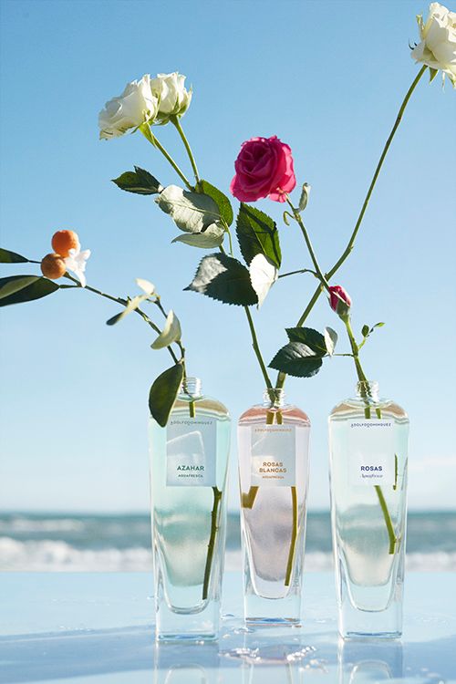 Los nuevos ecoperfumes de Adolfo Domínguez
