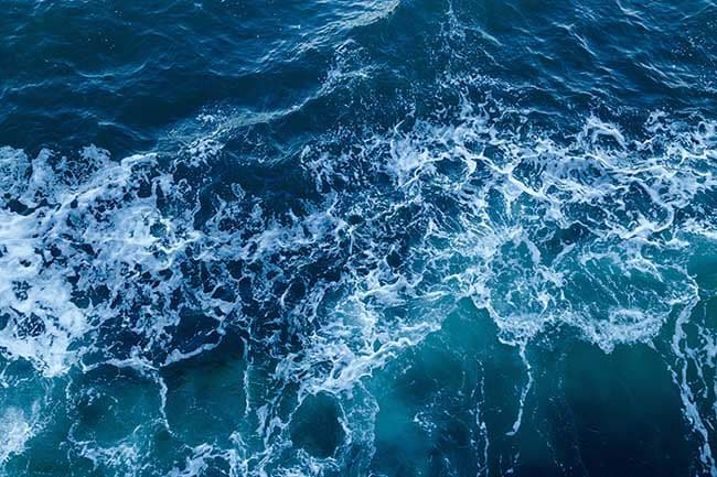 ¿Puede el agua de mar ayudar a tu sistema inmunológico?