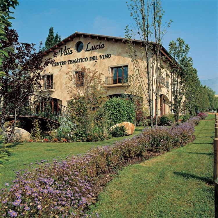Rioja-Alavesa-vendimia