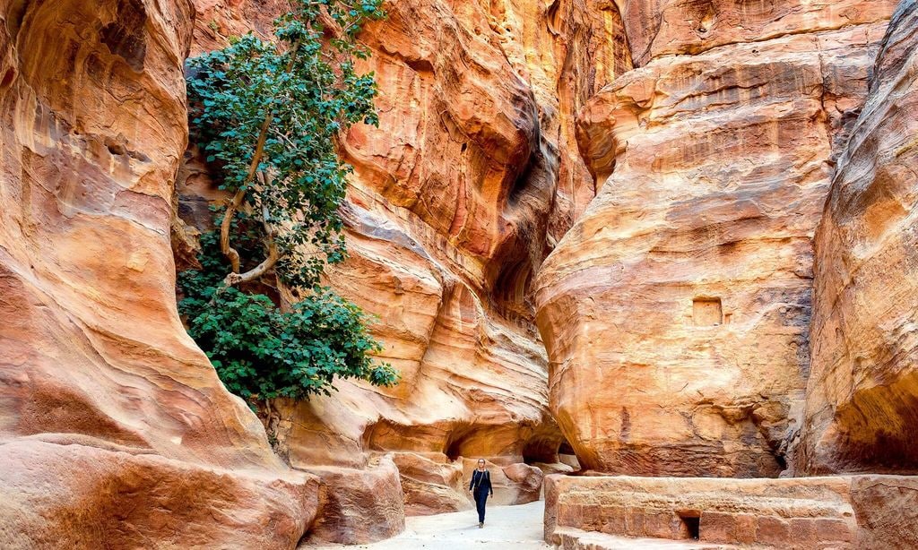 VIAJES PETRA, JORDANIA