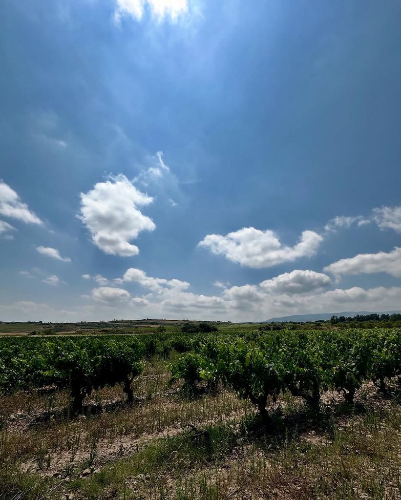 La condesa Alexandra haciendo el Camino de Santiago por la Rioja, Logroño y Nájera