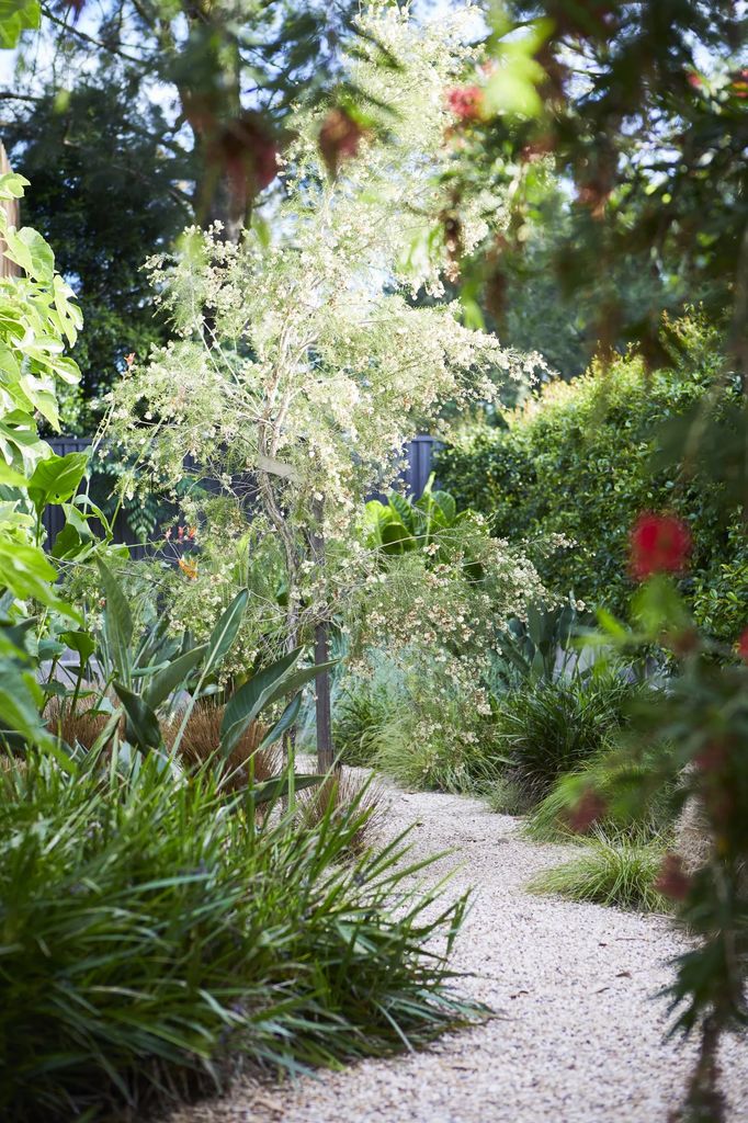 Jardín naturalista