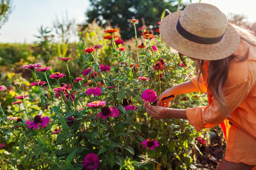 Mujer cortando flores