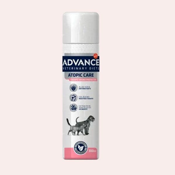 Usa un champú especial para pieles con dermatitis