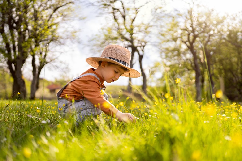 Niño en el parque cogiendo flores