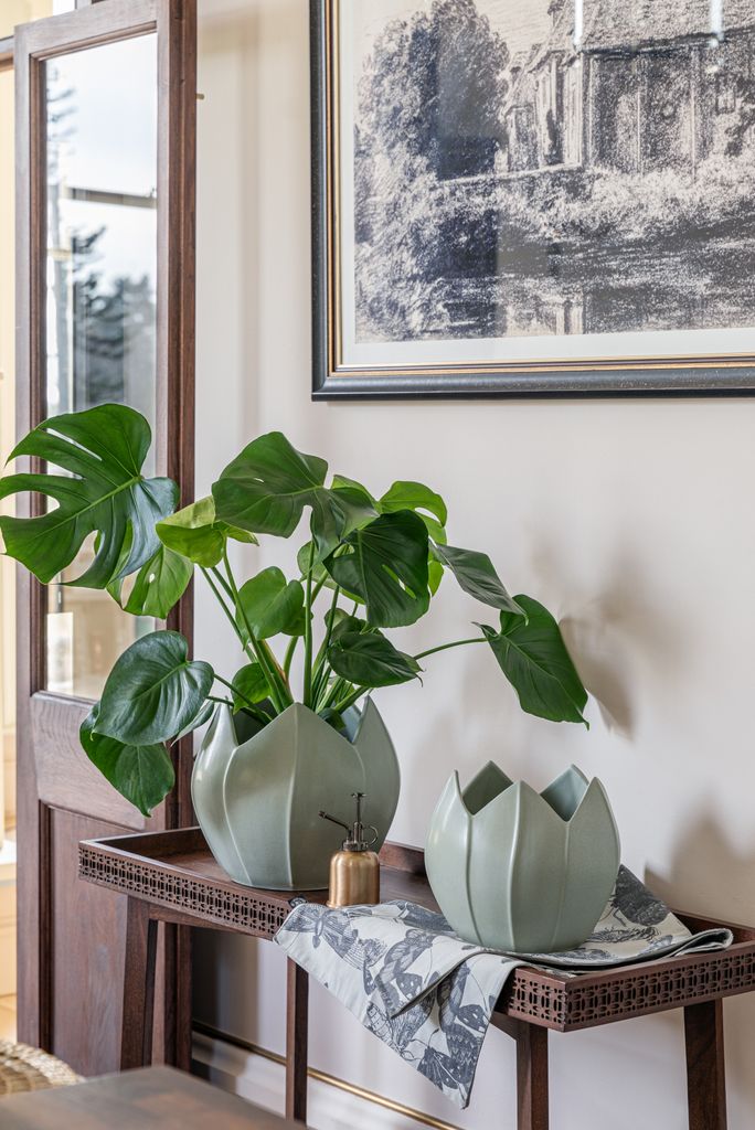Plantas en jarrones verdes