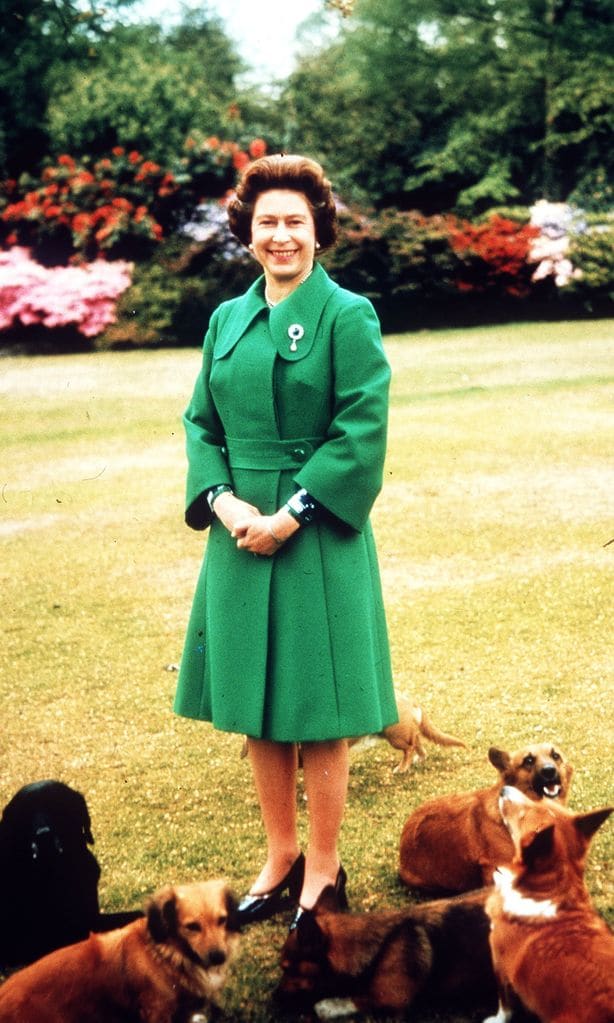 Reina Isabel