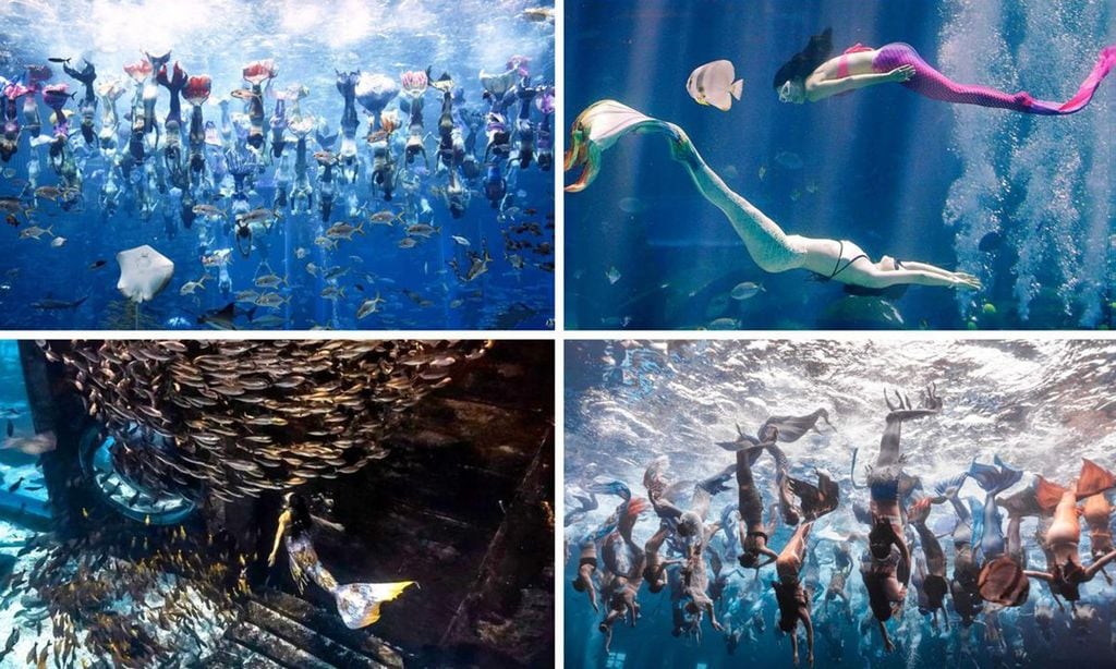 Se bate en China el récord de mermaiding, el buceo libre con cola de sirena 4-Collage-U52437336727ULx