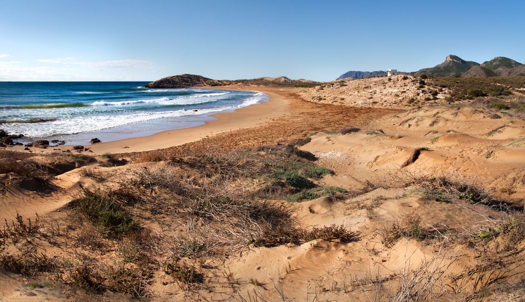 Playa Larga