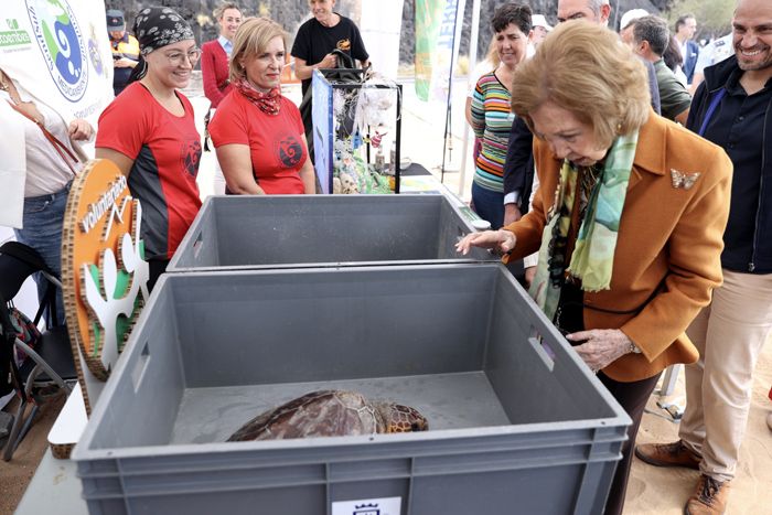 Reina Sofía suelta de tortugas en Tenerife