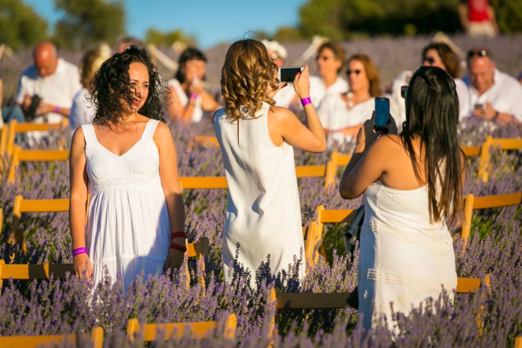 Festival de la Lavanda, en Brihuega