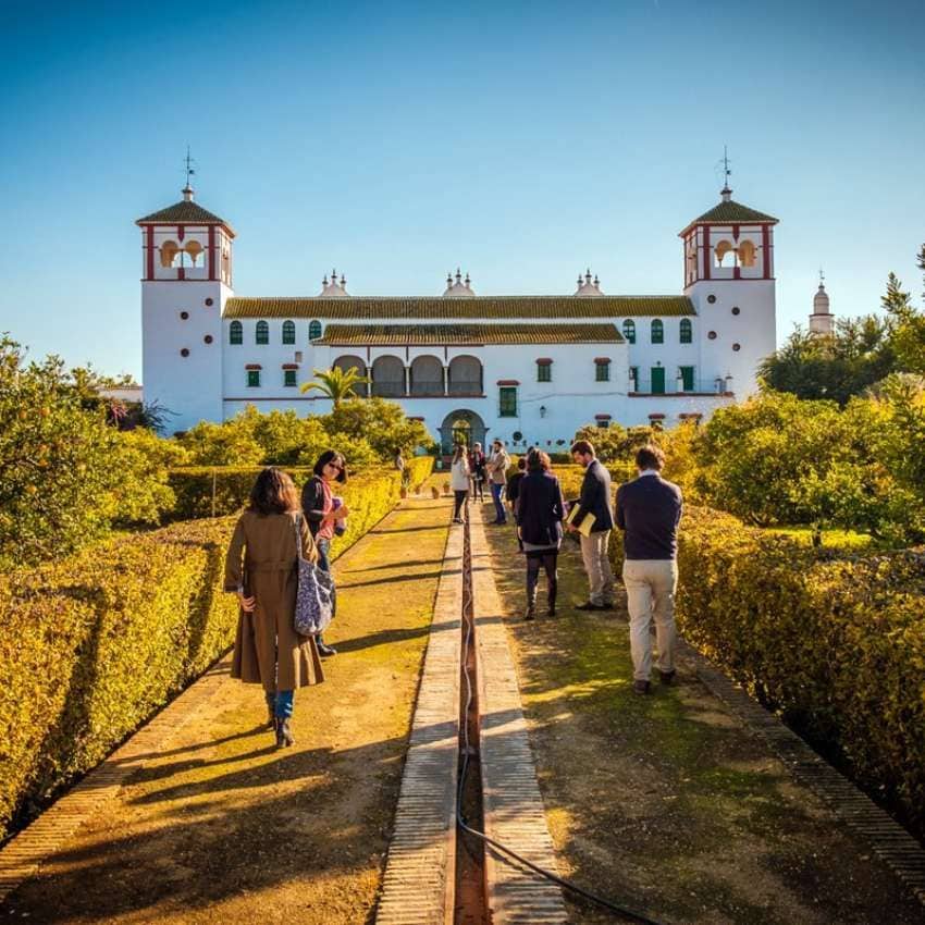 Oleoturismo en Hacienda Guzmán.