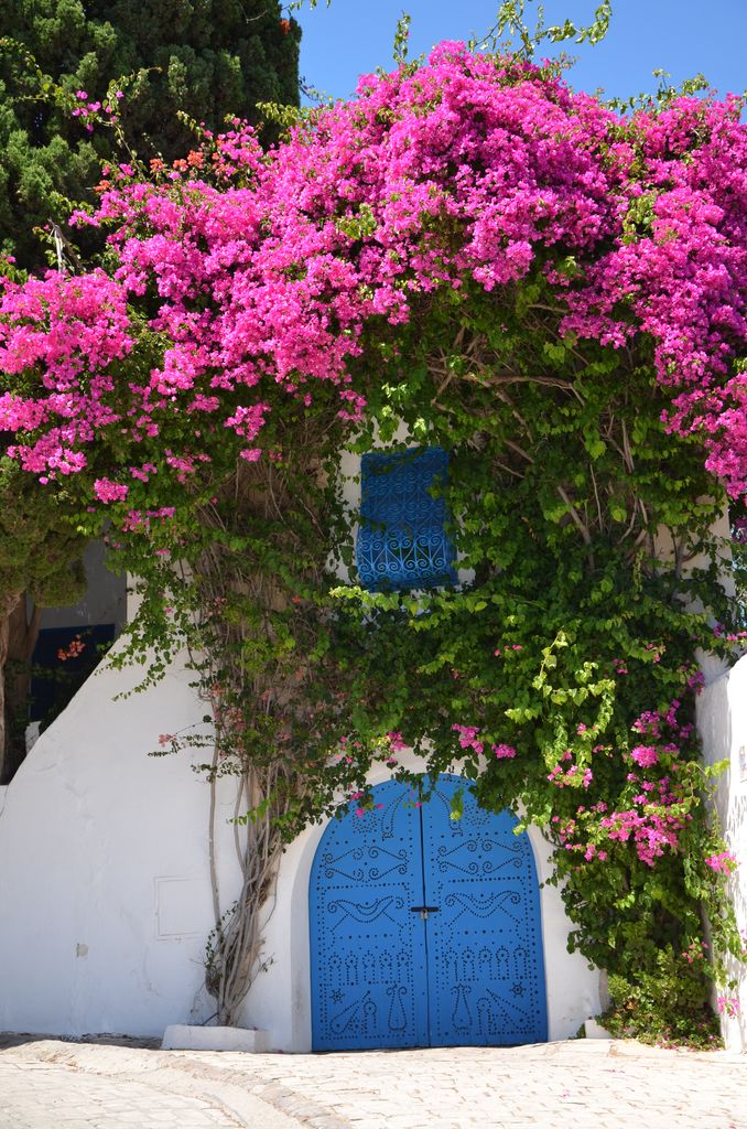 Puerta tradicional de Sidi Bou Said, Túnez