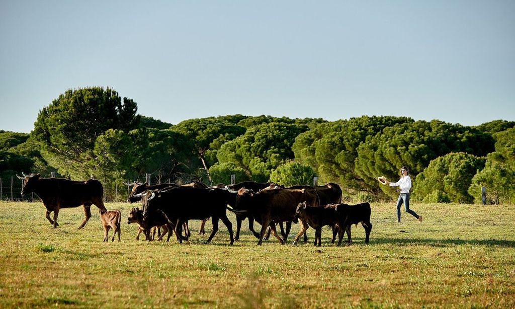 Lea de Vicens HOLA 4004