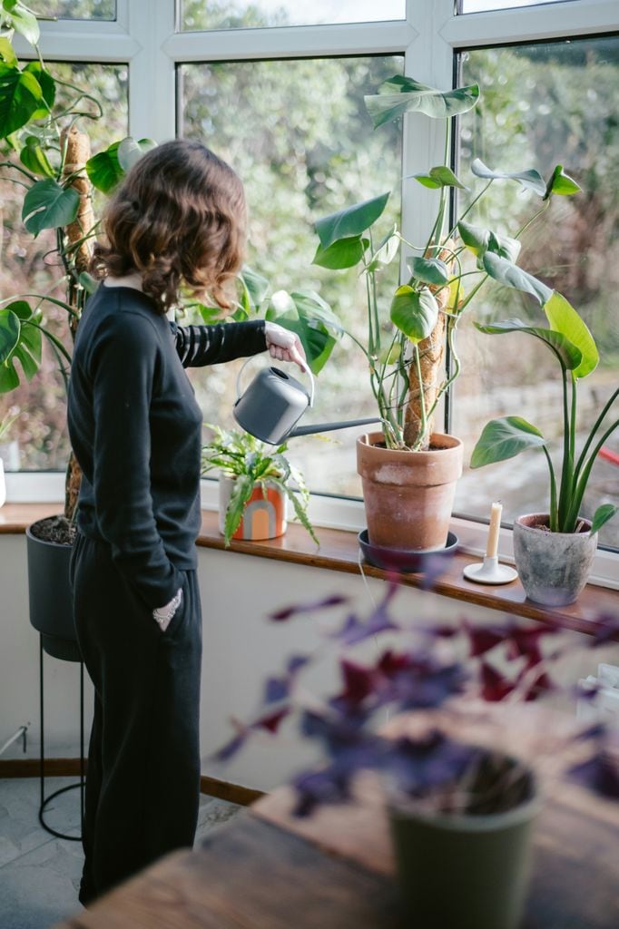 Mujer regando las plantas de interior de su vivienda
