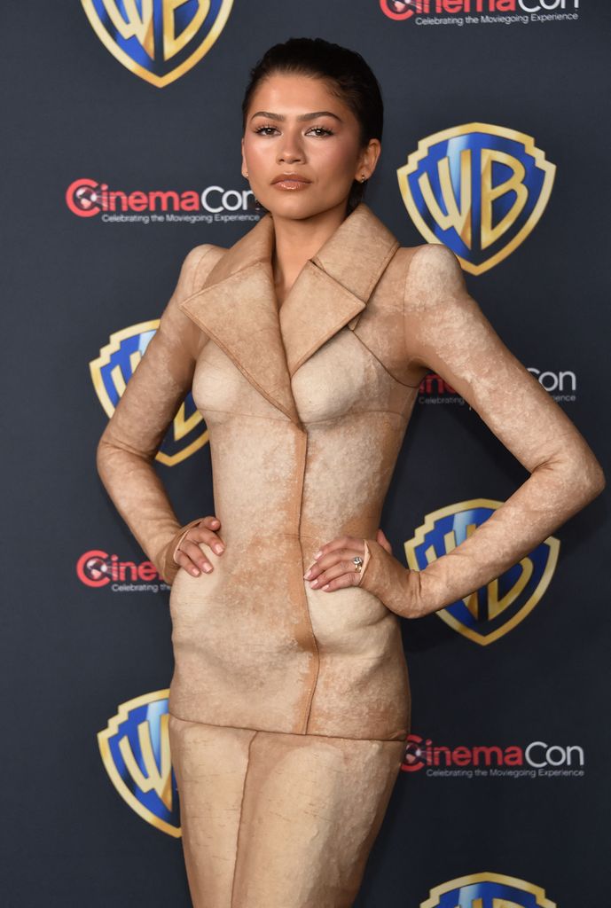 Zendaya apuesta por llevar su cabello peinado con efecto húmedo.