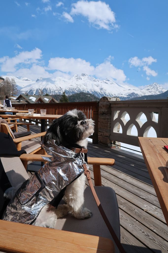 Luca en el Kulm Country Club.                