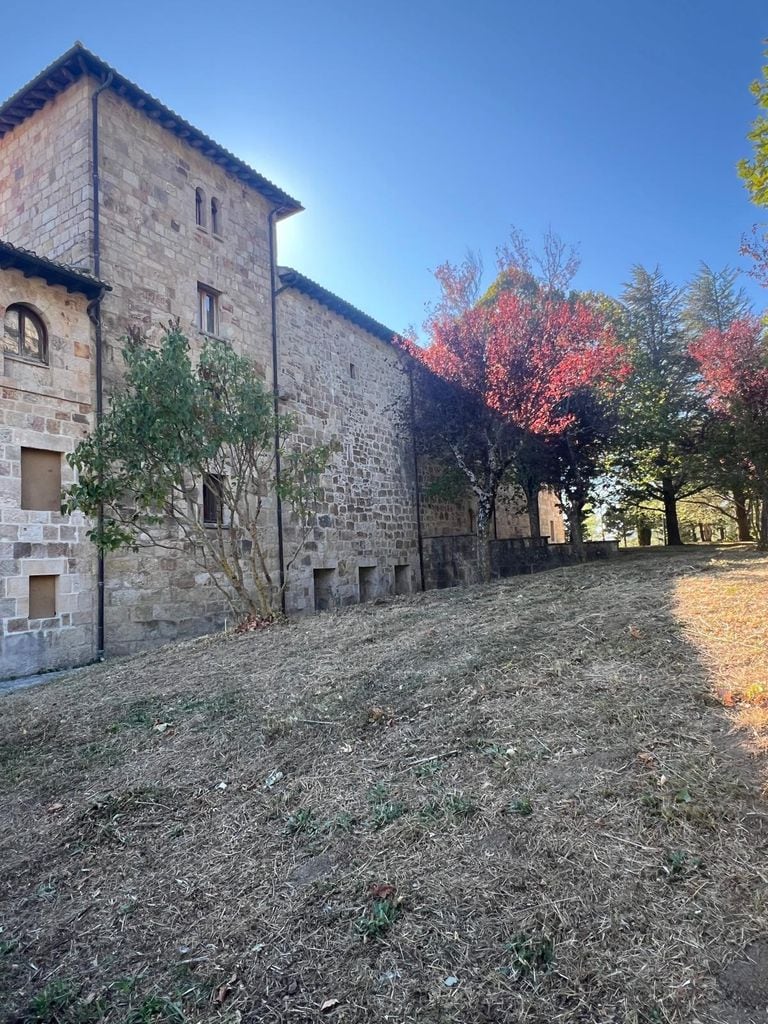 Media Image