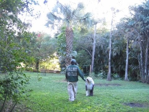 La familia es bienvenida en este lugar 