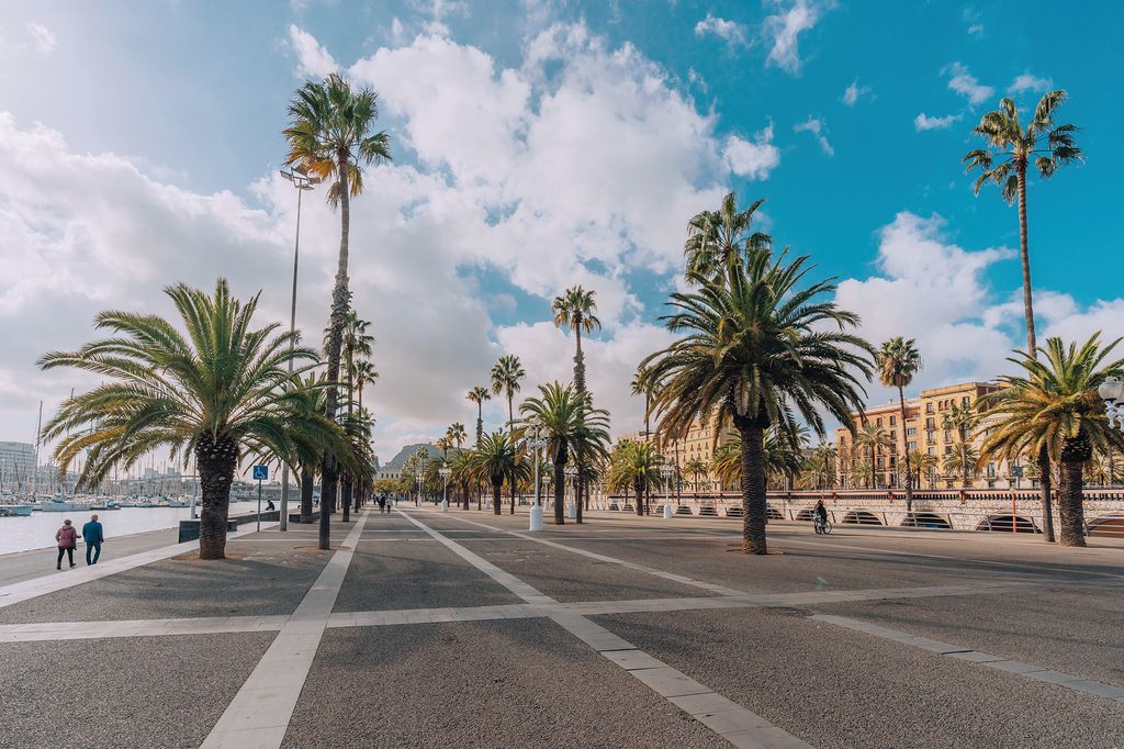 Barcelona también cuenta con playa.