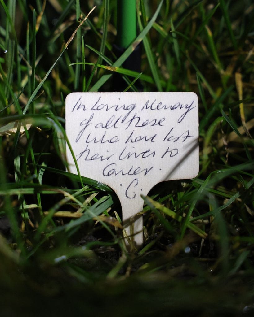 El mensaje de puño y letra que escribió Kate Middleton en la rosa iluminada de The Evet After Garden