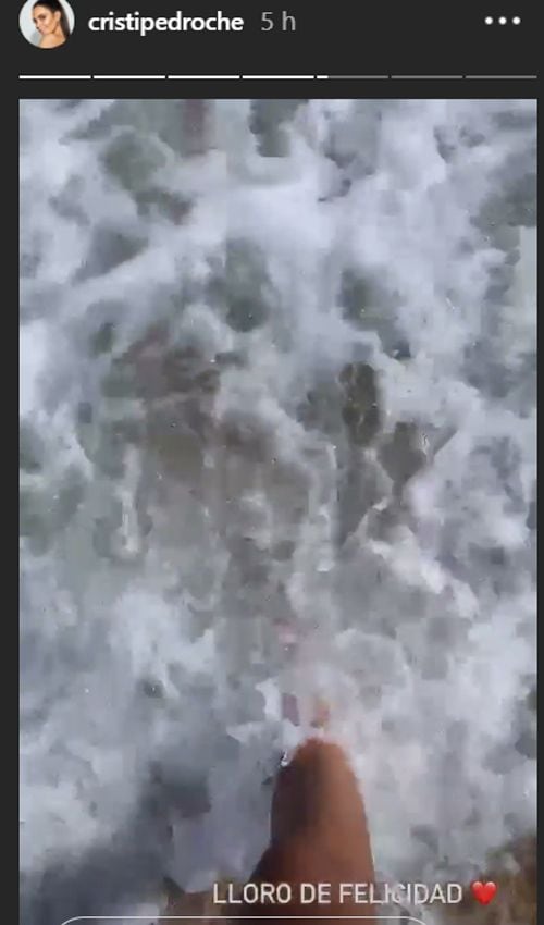pedroche-captura