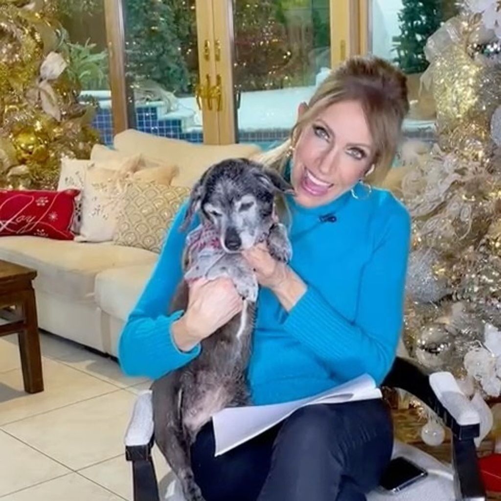 lili estefan